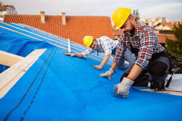 Best Roof Installation  in Hamton, IL